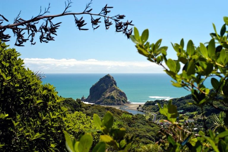 New Zealand in Spring - Aotearoa in full bloom