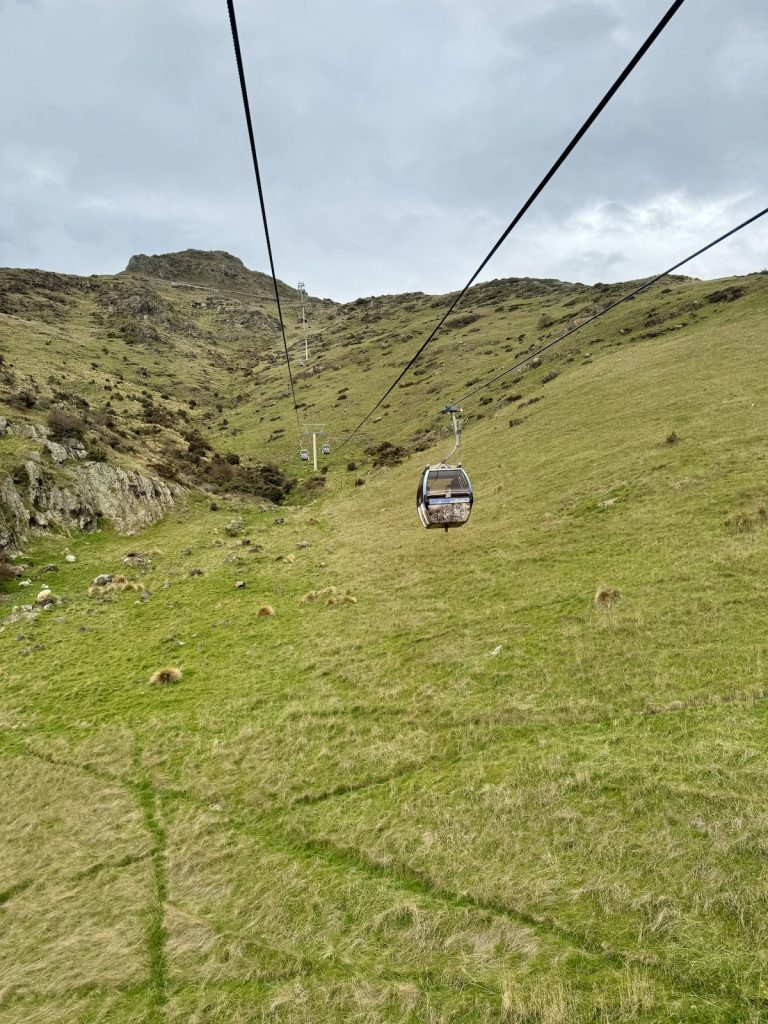 Gondola ascending a grassy hillside under a cloudy sky.