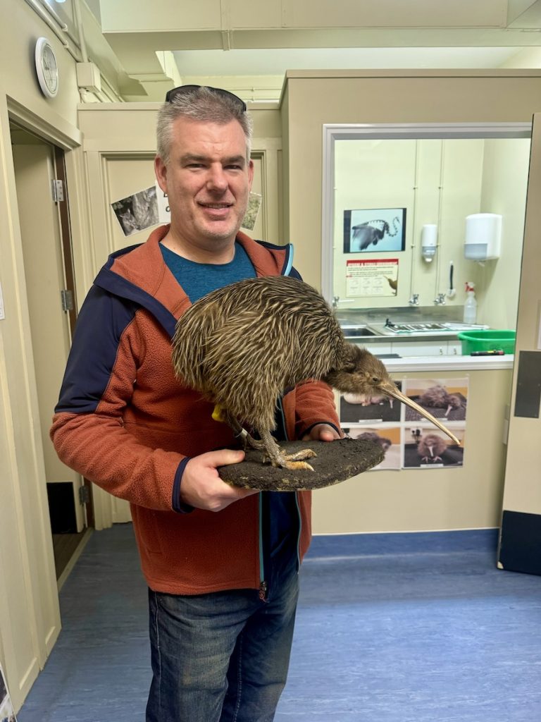 Nathan with a stuffed kiwi. You'll see live ones too - you just can't take photos.