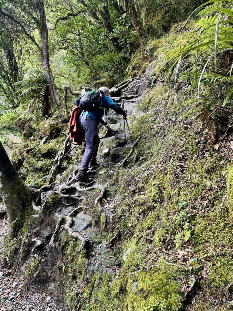 Nathan climbing Roberts Point track
