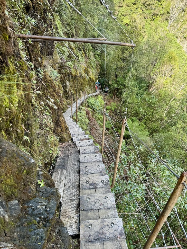 Interesting steps on Roberts Point Track in Franz.